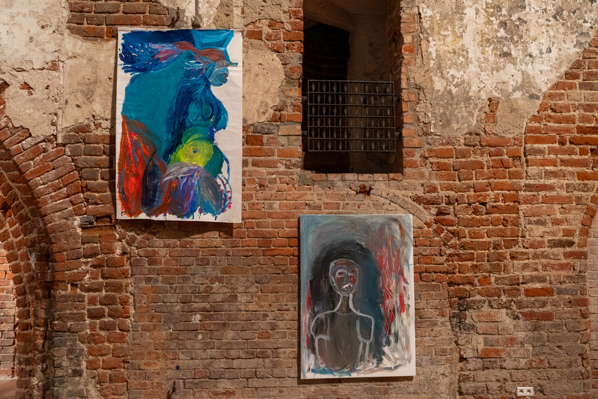 Projekcje Olgi Dmowskiej zdjęcie nr 297310