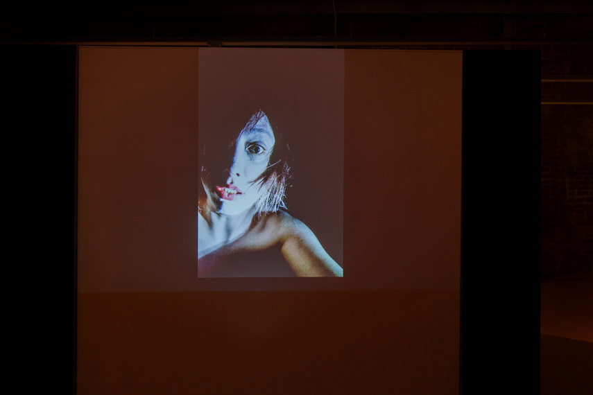 Projekcje Olgi Dmowskiej zdjęcie nr 297309