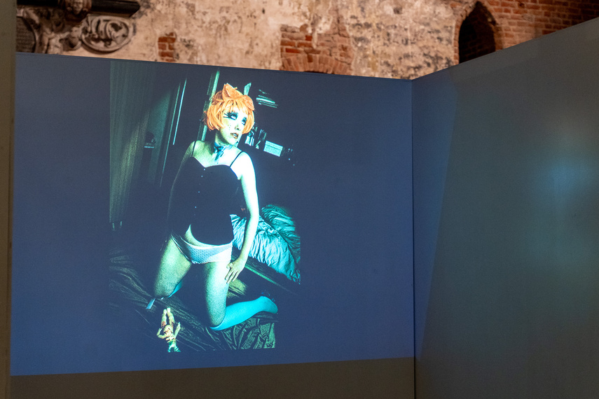 Projekcje Olgi Dmowskiej zdjęcie nr 297317