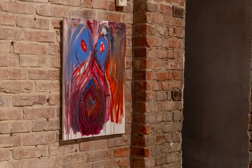 Projekcje Olgi Dmowskiej zdjęcie nr 297312