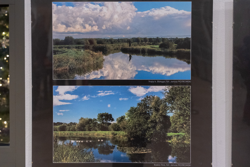 Żuławy w czterech porach roku zdjęcie nr 297724