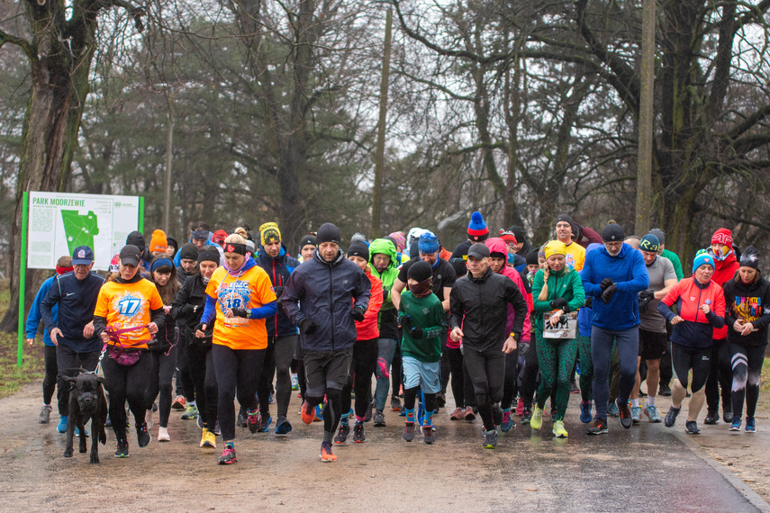 Liczyli się z cukrzycą podczas parkrun i licytowali na WOŚP zdjęcie nr 300838