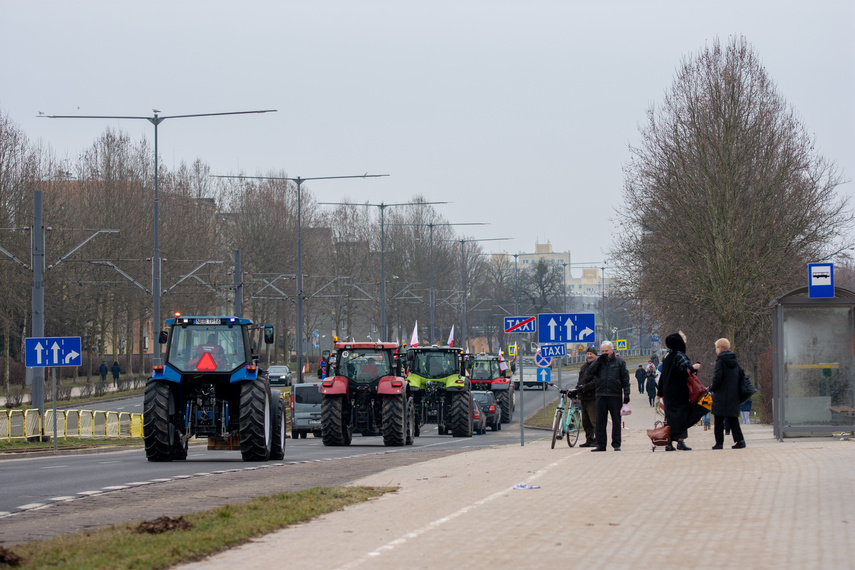 "Potrzebujemy konkretnych rozwiązań". Rolnicy protestowali na ulicach Elbląga zdjęcie nr 301568