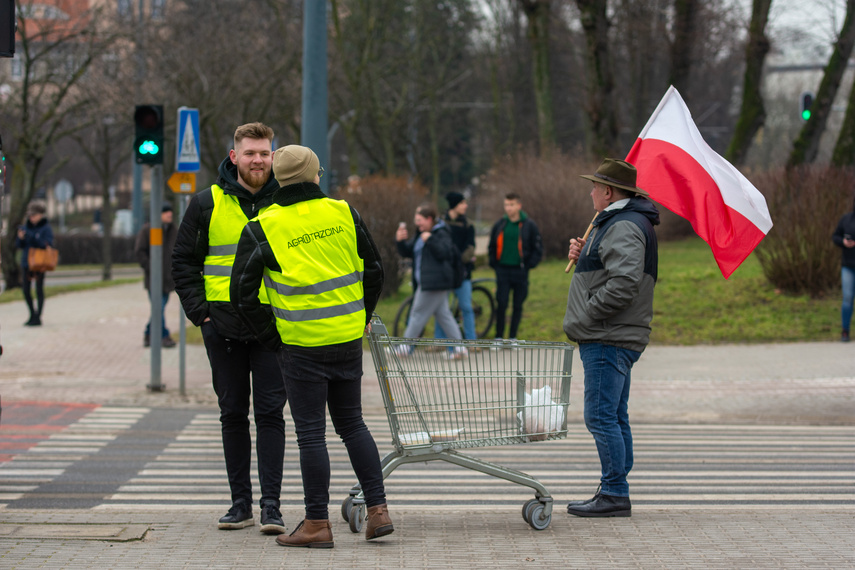 "Potrzebujemy konkretnych rozwiązań". Rolnicy protestowali na ulicach Elbląga zdjęcie nr 301618