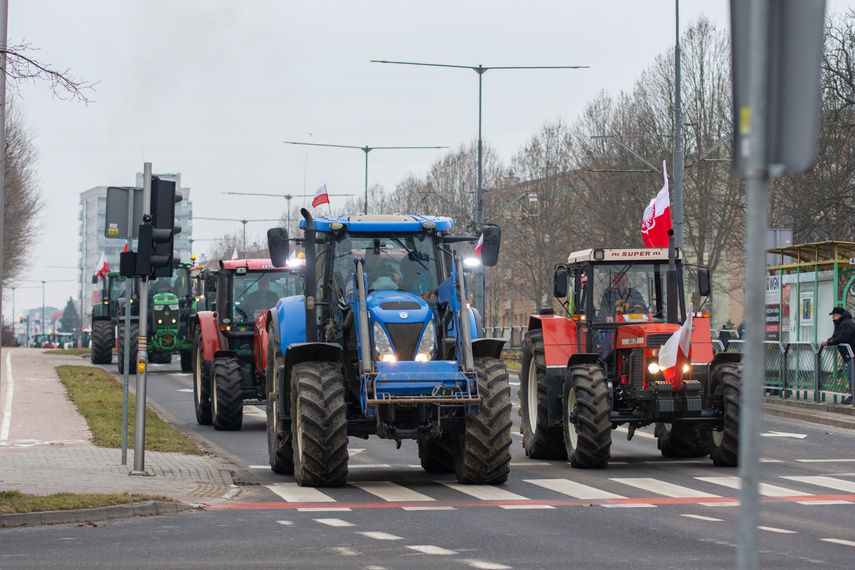 "Potrzebujemy konkretnych rozwiązań". Rolnicy protestowali na ulicach Elbląga zdjęcie nr 301578