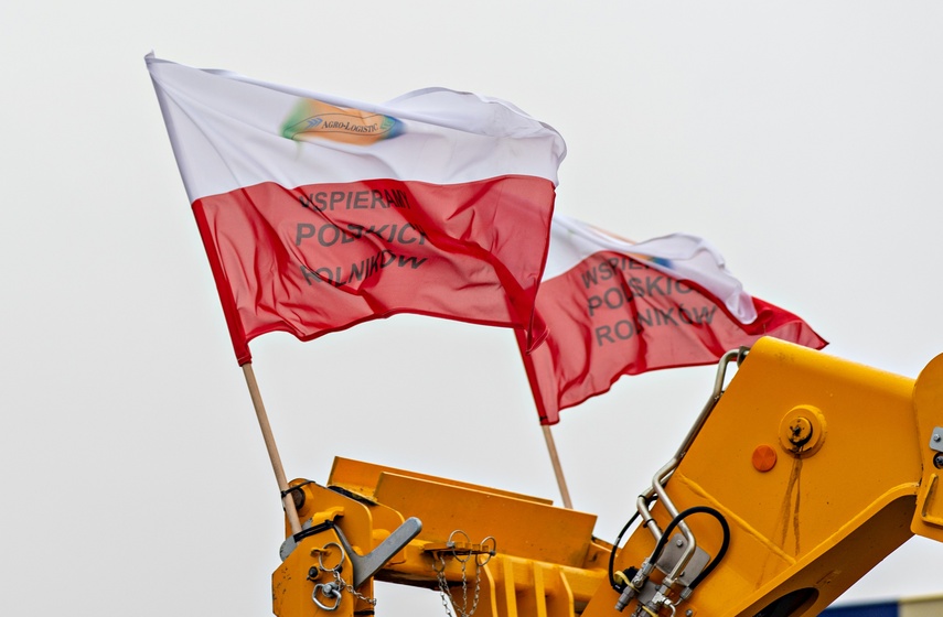 Protest rolników w Elblągu. "Sprowadzanie towarów z Ukrainy nas rujnuje" zdjęcie nr 302431