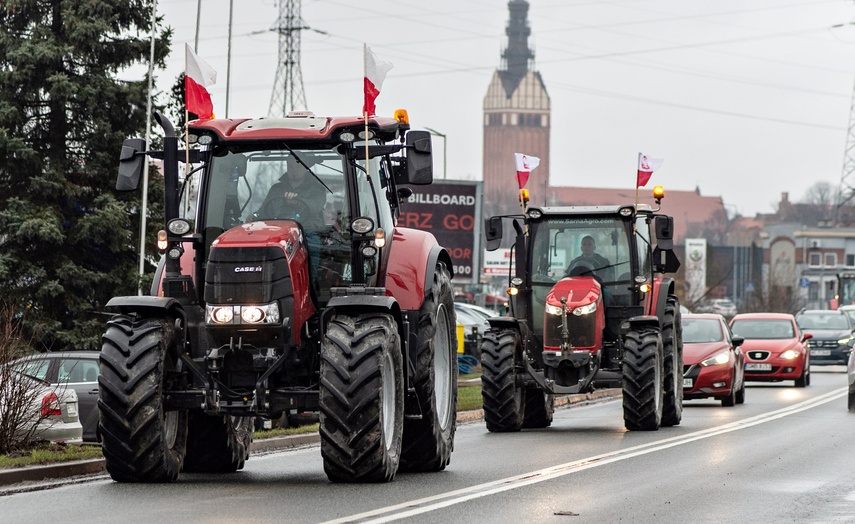 Protest rolników w Elblągu. "Sprowadzanie towarów z Ukrainy nas rujnuje" zdjęcie nr 302433