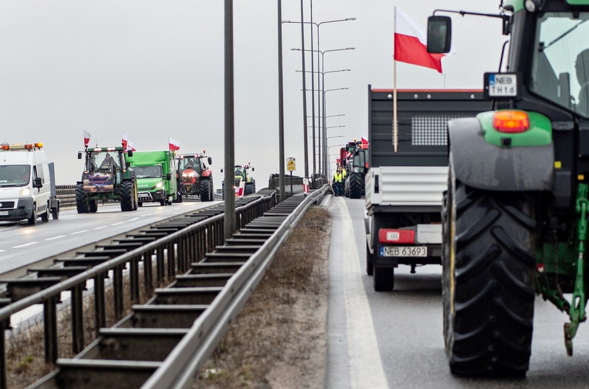 Protest rolników w Elblągu. "Sprowadzanie towarów z Ukrainy nas rujnuje" zdjęcie nr 302453