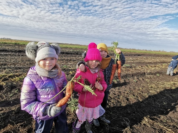 Przedszkole Mały Europejczyk w Elblągu to klucz do sukcesu Twojego dziecka zdjęcie nr 303185