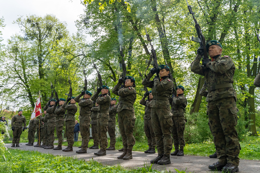 Pamięci Inwalidów Wojennych zdjęcie nr 305349