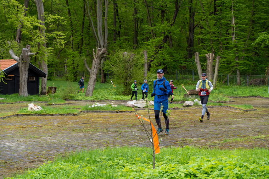 Ultra Wysoczyzna - Galeria nr 1 zdjęcie nr 305475