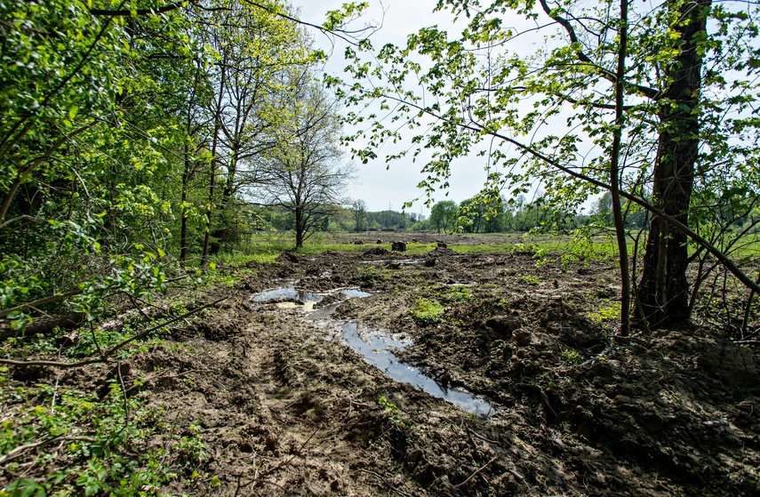 Potok poczeka na zbiornik zdjęcie nr 306401