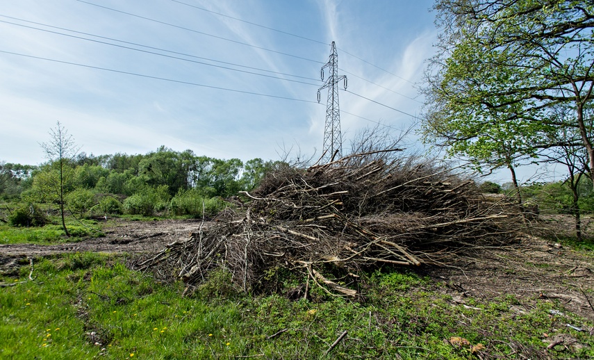 Potok poczeka na zbiornik zdjęcie nr 306389