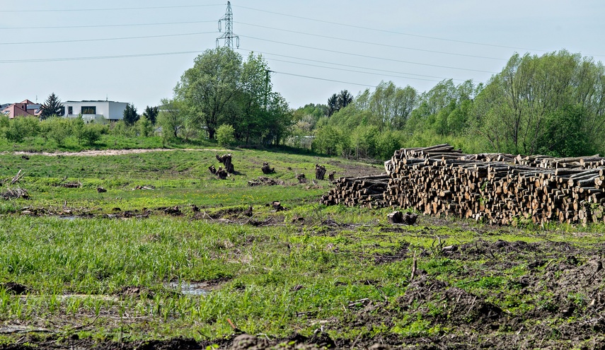 Potok poczeka na zbiornik zdjęcie nr 306400