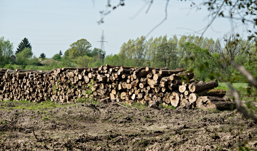 Potok poczeka na zbiornik zdjęcie nr 306399