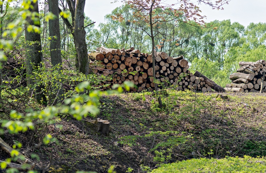 Potok poczeka na zbiornik zdjęcie nr 306392