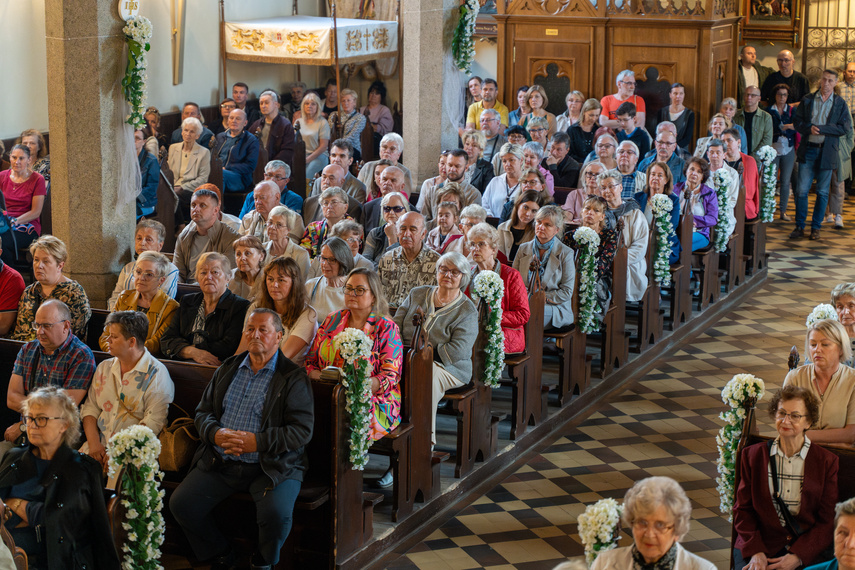 Akordeon i organy na początek zdjęcie nr 308199