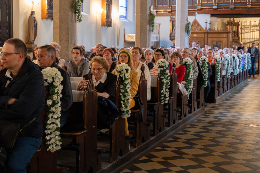 Akordeon i organy na początek zdjęcie nr 308186