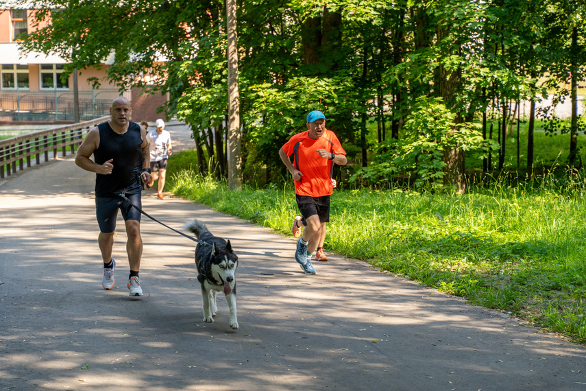 Parkrun zdjęcie nr 310099