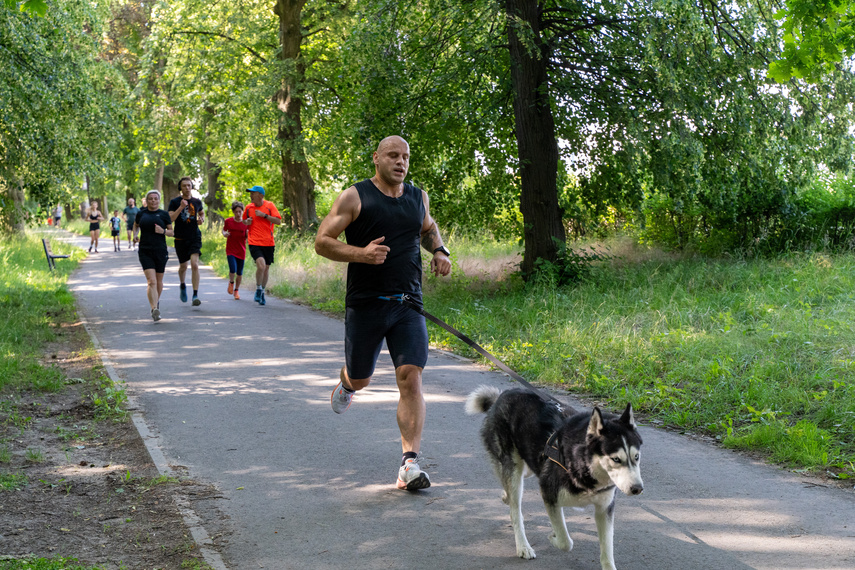 Parkrun zdjęcie nr 310160