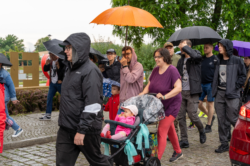 Parada na zakończenie muzycznego święta zdjęcie nr 310381