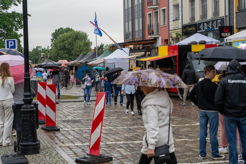 Atrakcje na Dni Elbląga zdjęcie nr 311009