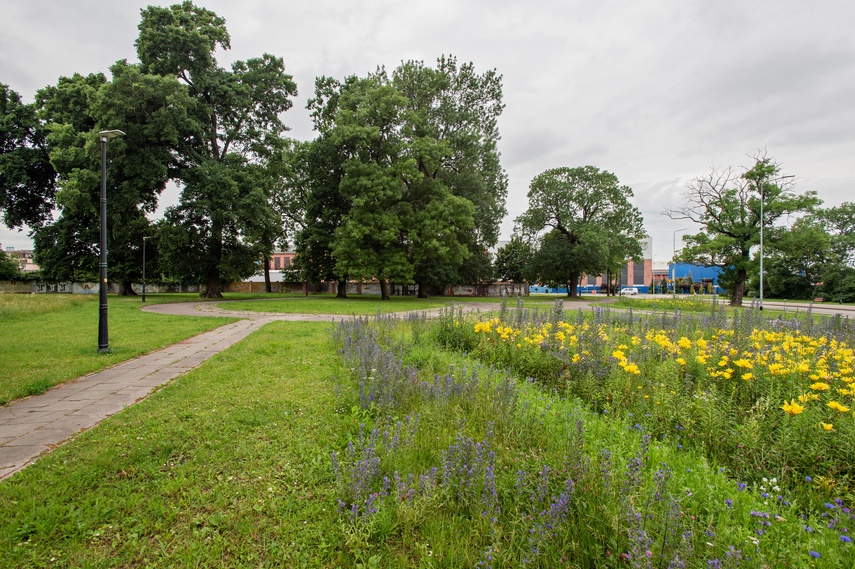 Było sobie kiedyś miasteczko rowerowe... zdjęcie nr 311211