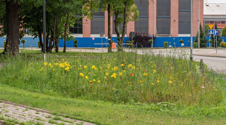 Było sobie kiedyś miasteczko rowerowe... zdjęcie nr 311210