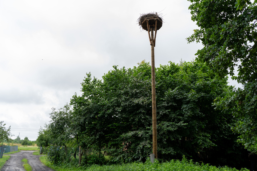 Bociani punkt widzenia zdjęcie nr 311858