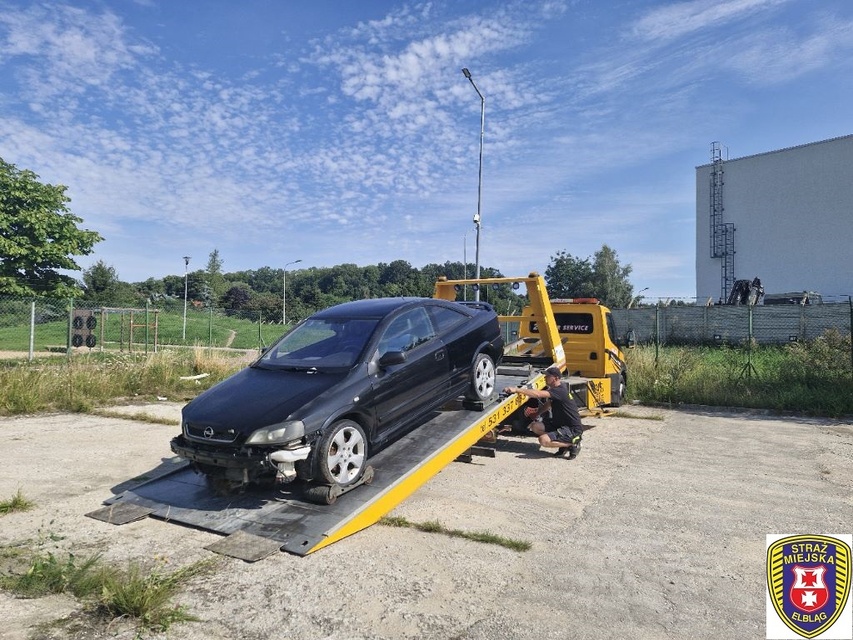 Stoją i wrastają w ziemię zdjęcie nr 312734