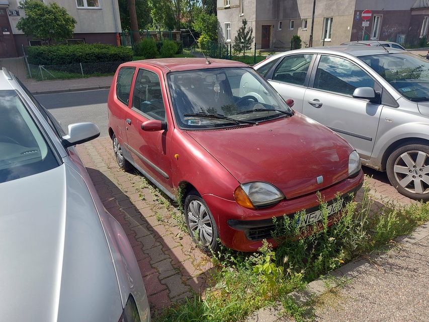 Elbląg Stoją i wrastają w ziemię