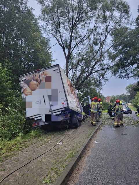 Uderzył dostawczakiem w drzewo zdjęcie nr 313892