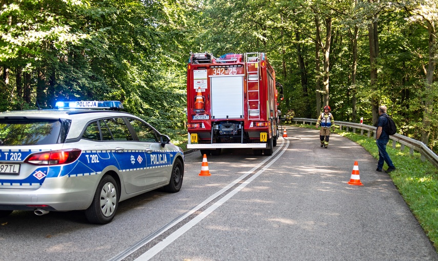 Elbląg Wypadek autokaru pod Kadynami