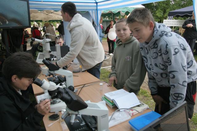 Elbląg BioBlitz w Nowym Dworze Gdańskim