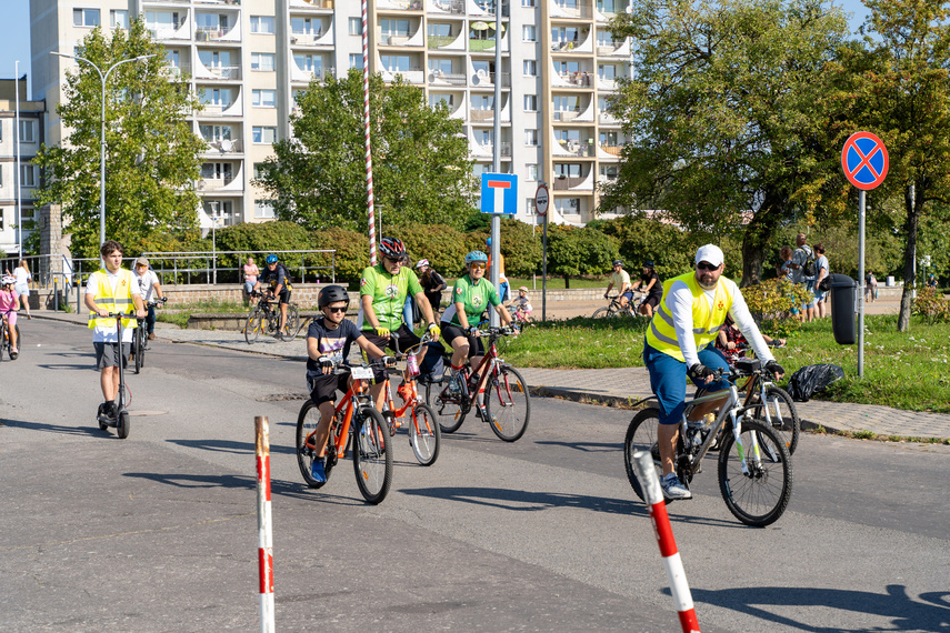 Miasto dla rowerzystów zdjęcie nr 315770