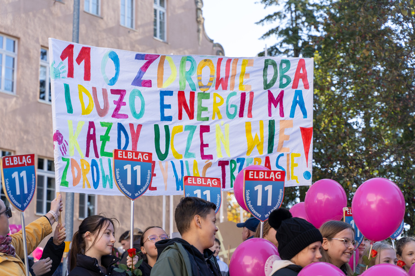 Marsz Zdrowia. „Trzeba o tym mówić głośno” zdjęcie nr 317480