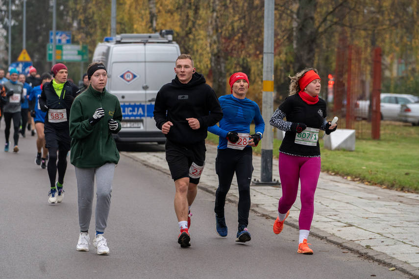 Rekordowy Elbląski Bieg Niepodległości zdjęcie nr 319225