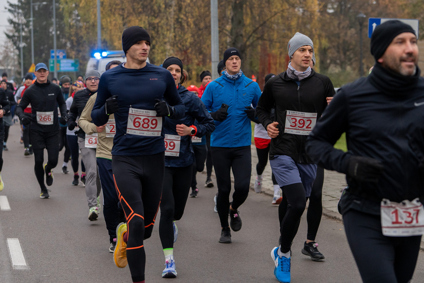 Rekordowy Elbląski Bieg Niepodległości zdjęcie nr 319231