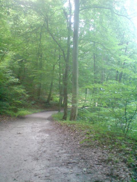 Elbląg W Bażantarni