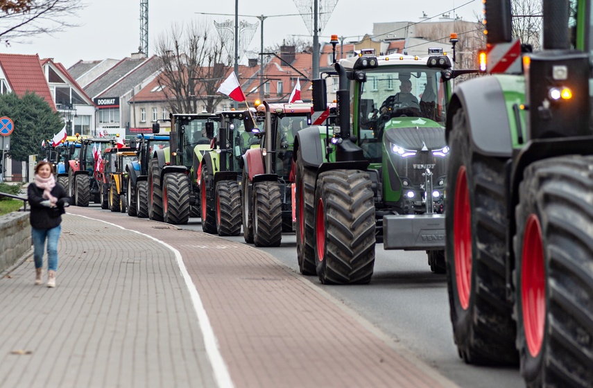 Rolnicy protestowali w Elblągu. „Żywność spoza UE jest nafaszerowana pestycydami” zdjęcie nr 320487