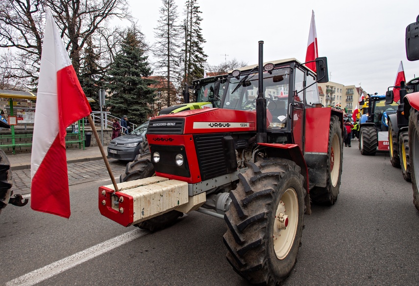 Rolnicy protestowali w Elblągu. „Żywność spoza UE jest nafaszerowana pestycydami” zdjęcie nr 320504