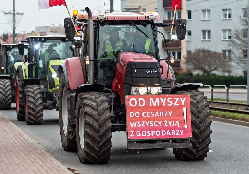 Rolnicy protestowali w Elblągu. „Żywność spoza UE jest nafaszerowana pestycydami” zdjęcie nr 320488