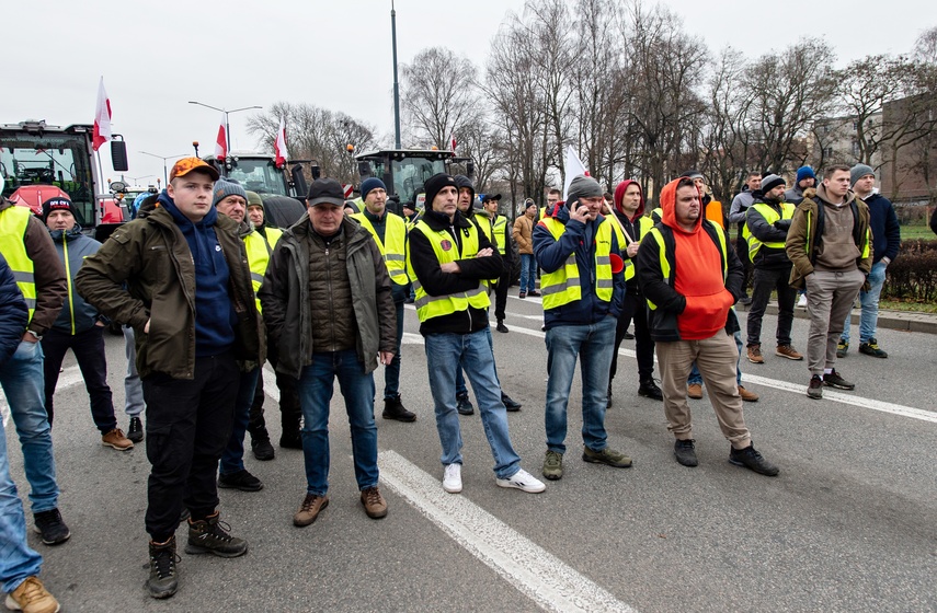 Rolnicy protestowali w Elblągu. „Żywność spoza UE jest nafaszerowana pestycydami” zdjęcie nr 320512