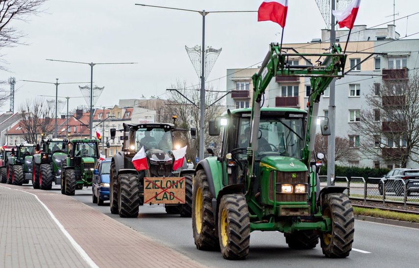 Rolnicy protestowali w Elblągu. „Żywność spoza UE jest nafaszerowana pestycydami” zdjęcie nr 320486