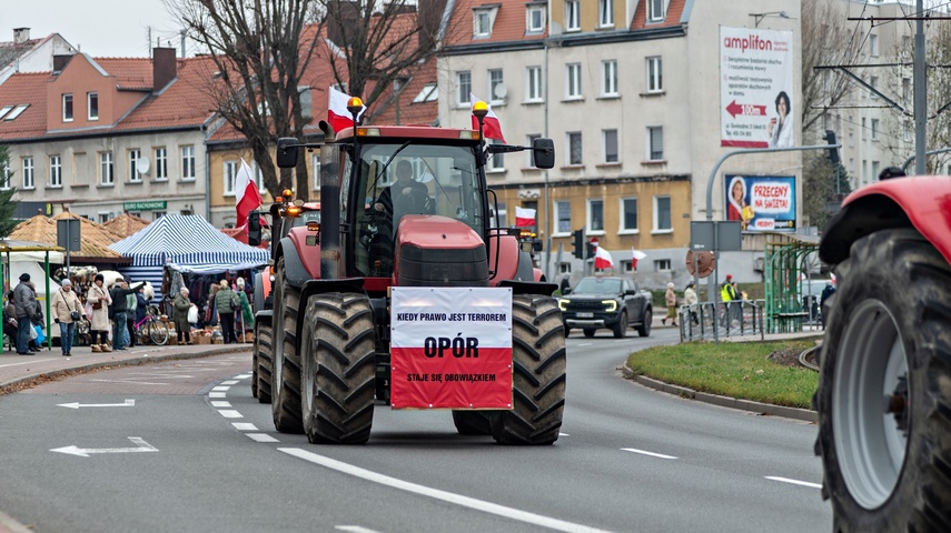 Rolnicy protestowali w Elblągu. „Żywność spoza UE jest nafaszerowana pestycydami” zdjęcie nr 320495