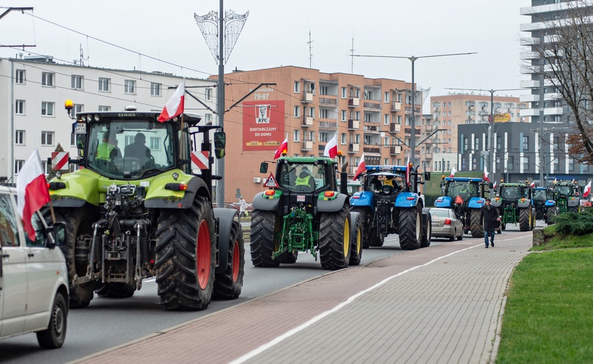 Rolnicy protestowali w Elblągu. „Żywność spoza UE jest nafaszerowana pestycydami” zdjęcie nr 320496