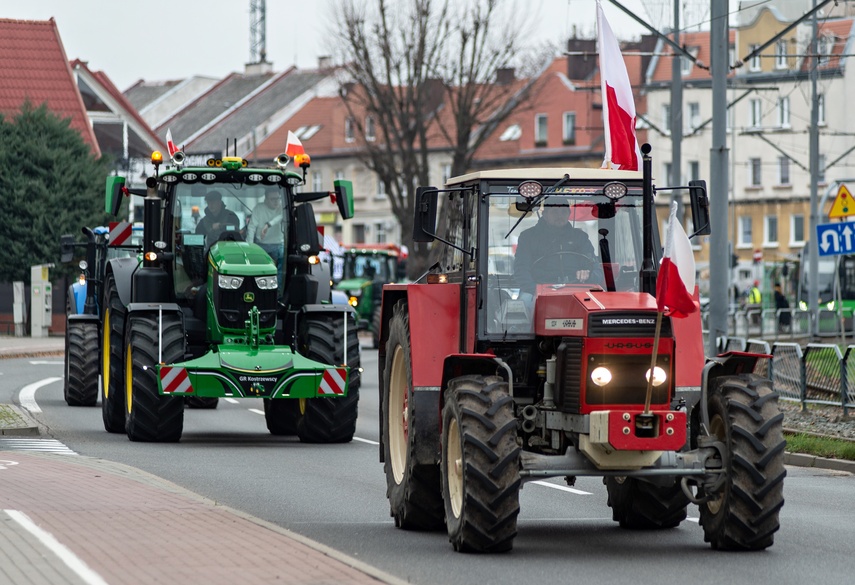 Rolnicy protestowali w Elblągu. „Żywność spoza UE jest nafaszerowana pestycydami” zdjęcie nr 320494