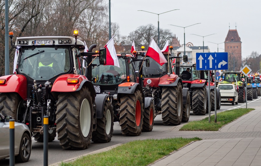 Rolnicy protestowali w Elblągu. „Żywność spoza UE jest nafaszerowana pestycydami” zdjęcie nr 320499