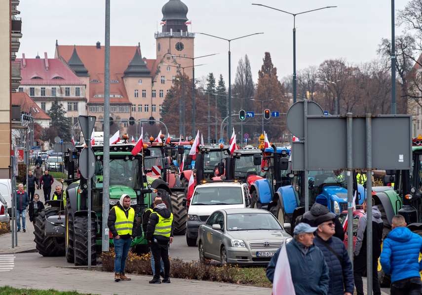 Rolnicy protestowali w Elblągu. „Żywność spoza UE jest nafaszerowana pestycydami” zdjęcie nr 320506