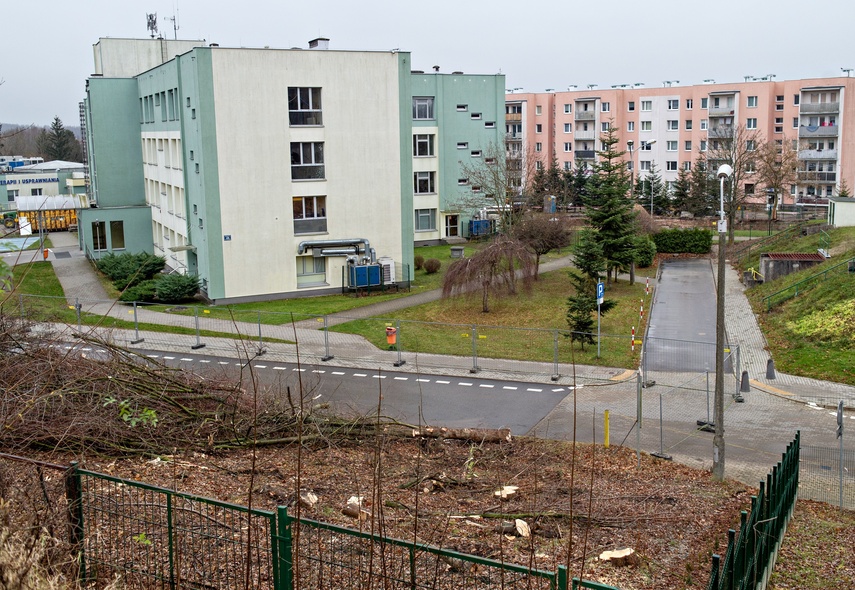 Elbląg Były drzewa i krzewy, będzie fotowoltaika